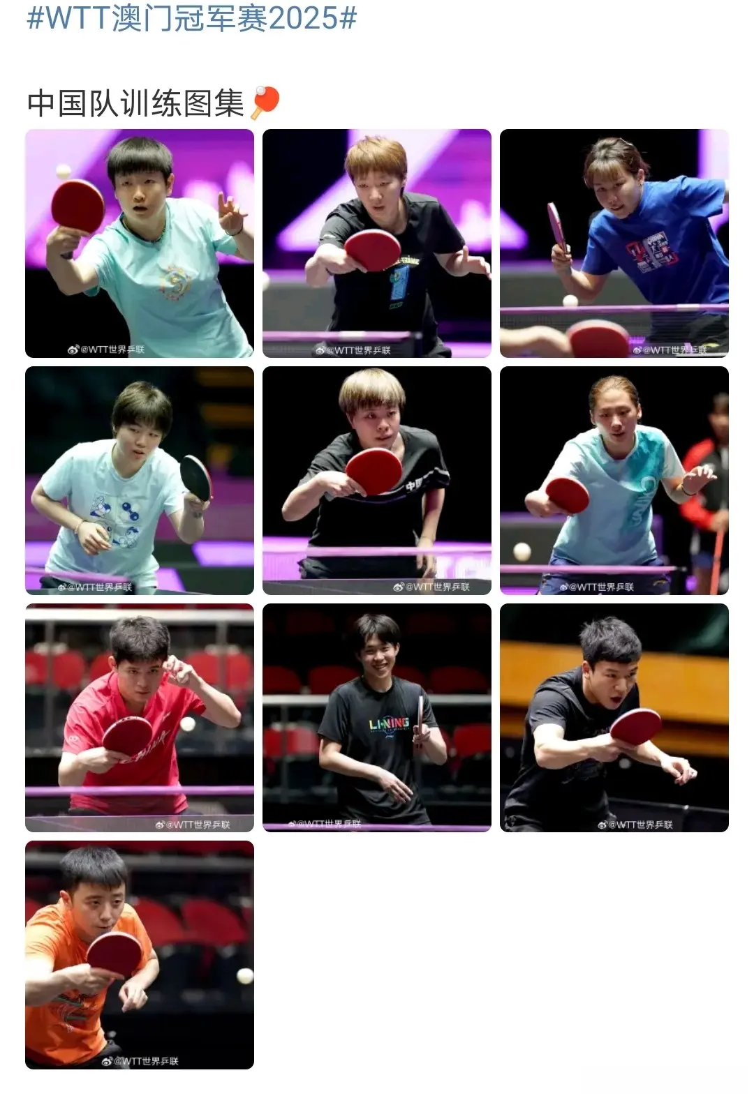 王曼昱等场, 的是佳佳的, https 王曼昱等场, 的是佳佳的, https