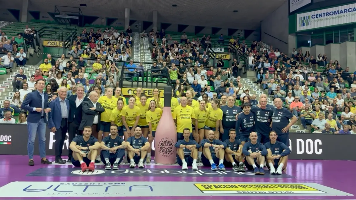 这里打球, 球迷争相合 这里打球, 球迷争相合