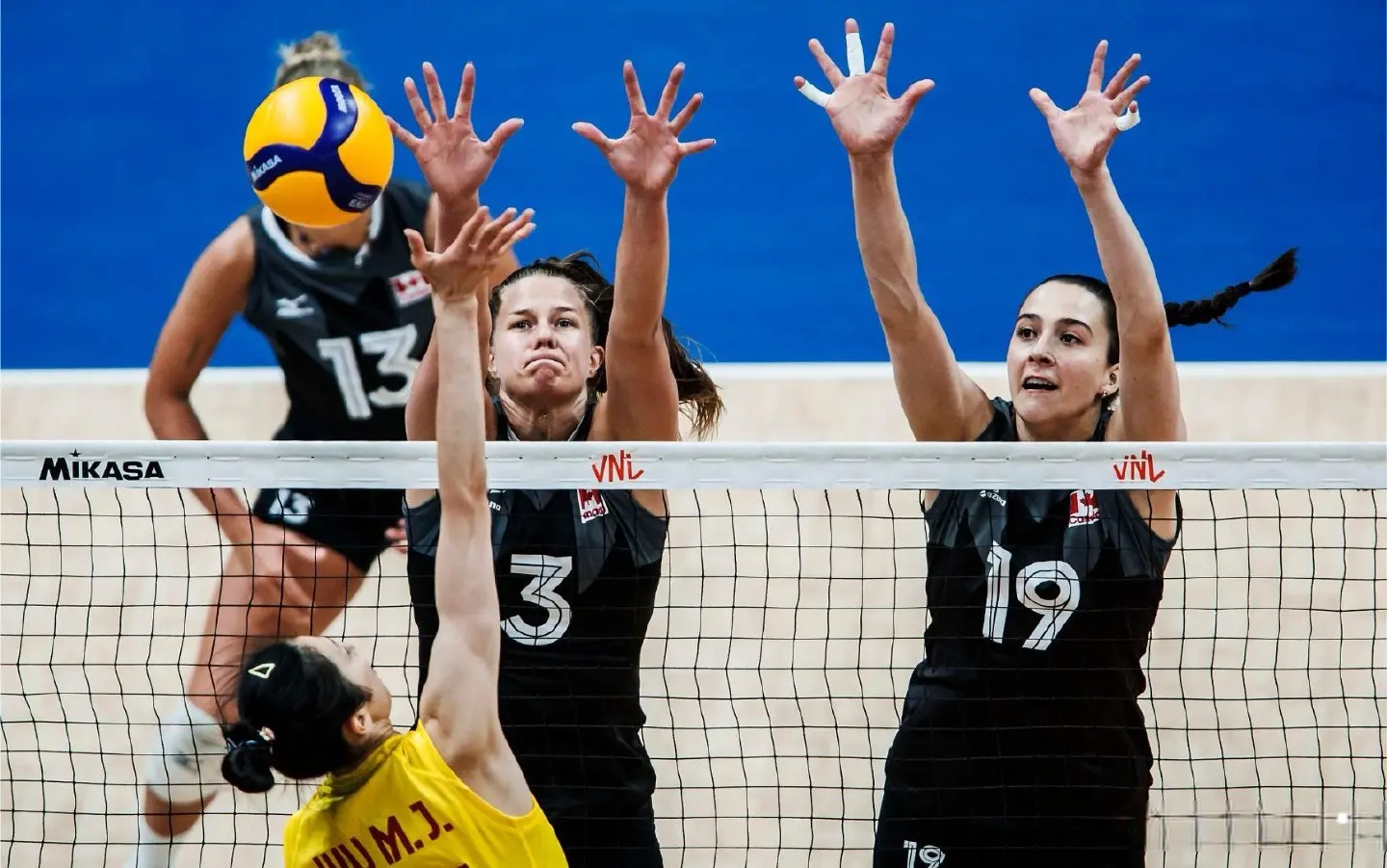 冠军当中 冠军当中