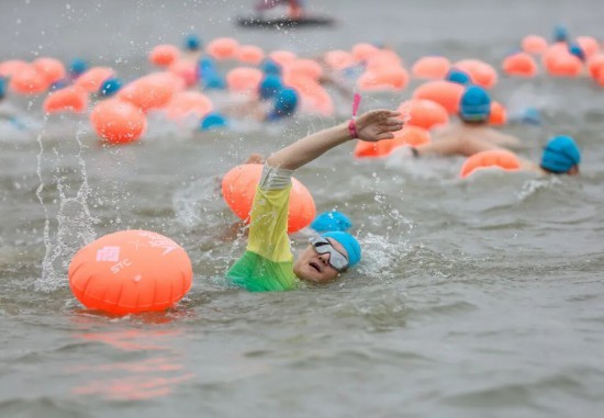 上海湾区马, AA, 白色浪花 上海湾区马, AA, 白色浪花
